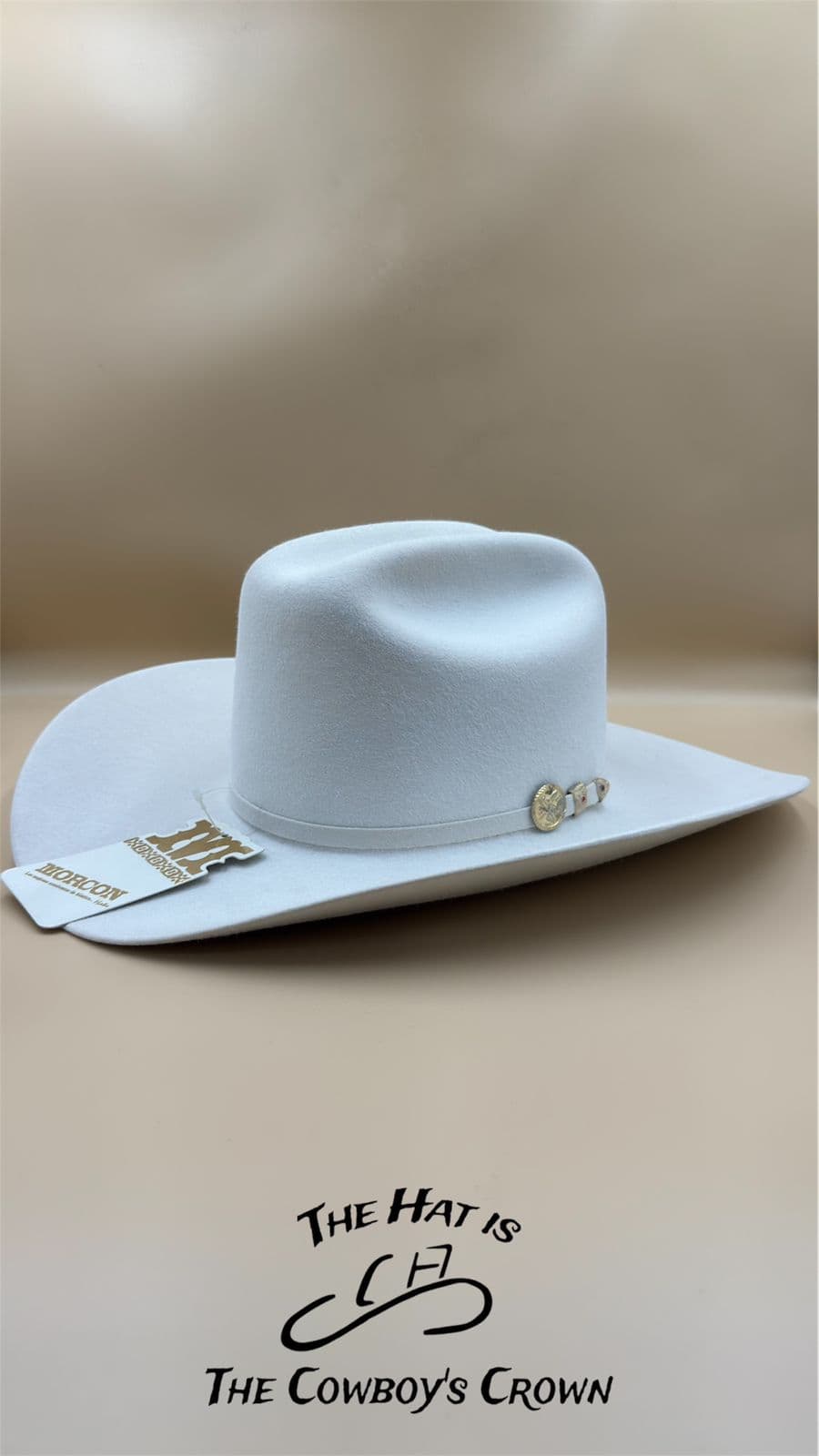 Texana Blanca Ganadera